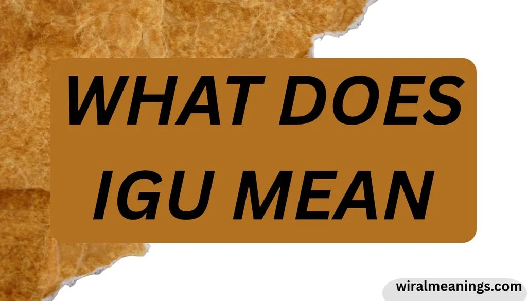 What Does IGU Mean? Texting & Slang Meaning Explained in 2026